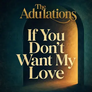 Cover artwork for If You Don't Want My Love